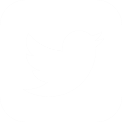 twitter icon
